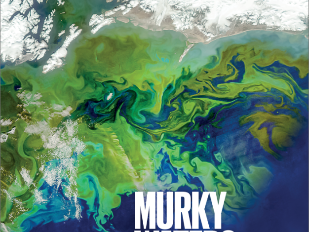 想发表Nature论文吗?听听大佬怎么说